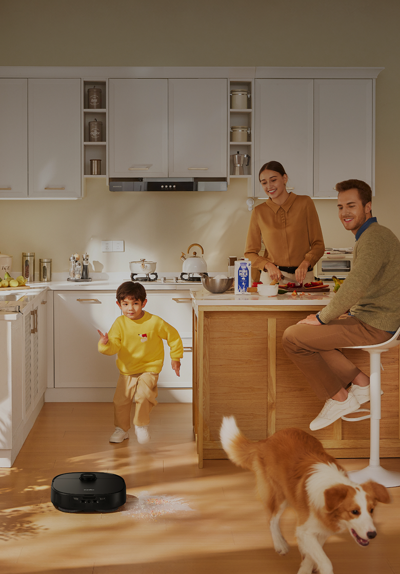 Can You Get a Self-Emptying Robot Vacuum Under $300?