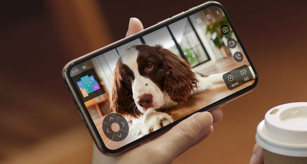 Make a Video Call with Your Pet
