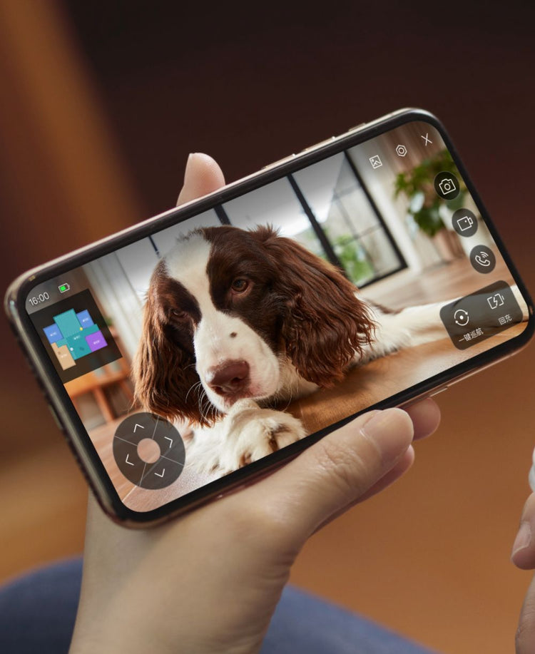 Make a Video Call with Your Pet