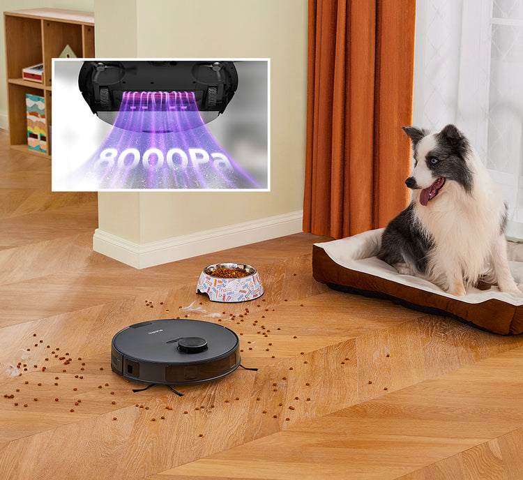 8000 Pa Powerful Suction