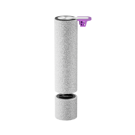 Brush Roller