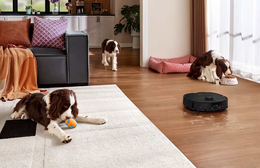 Pet Area Deep Cleaning
