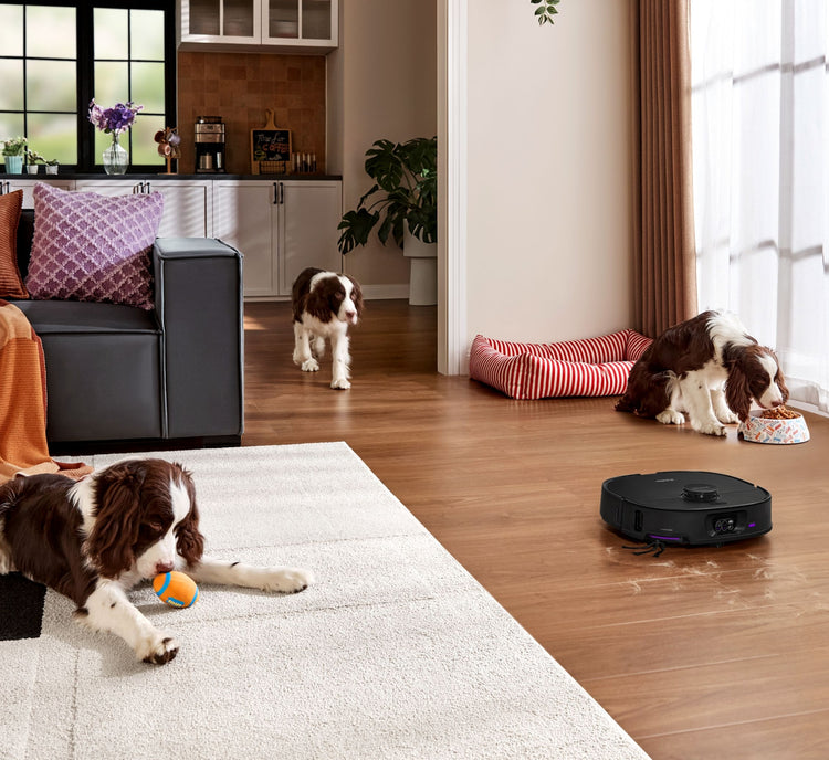 Pet Area Deep Cleaning