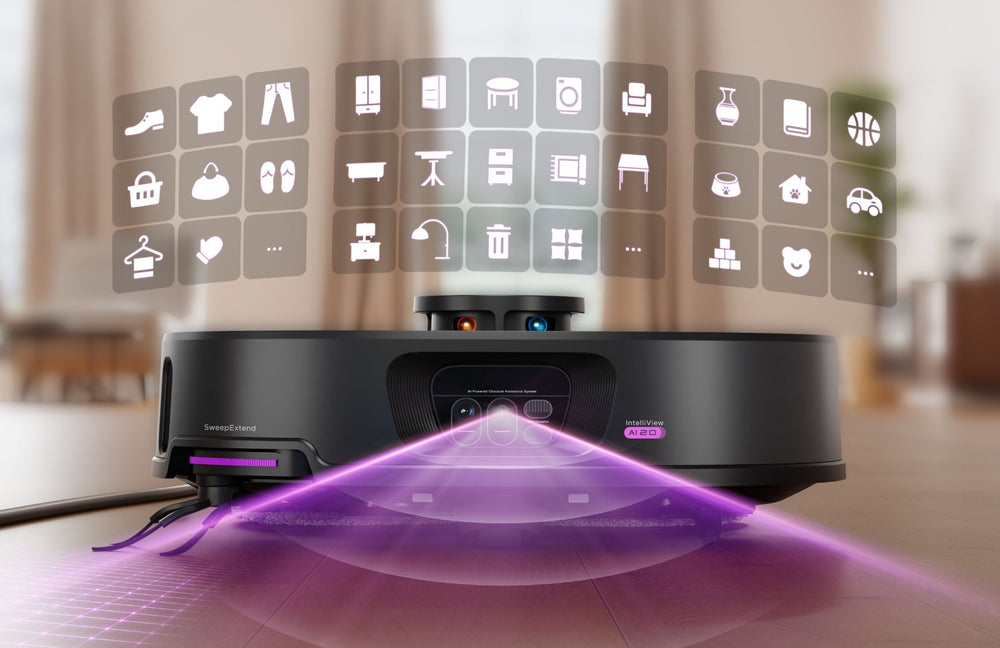 Dual Vision System