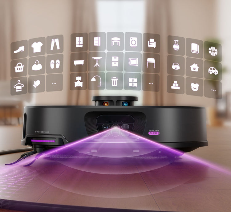 Dual Vision System
