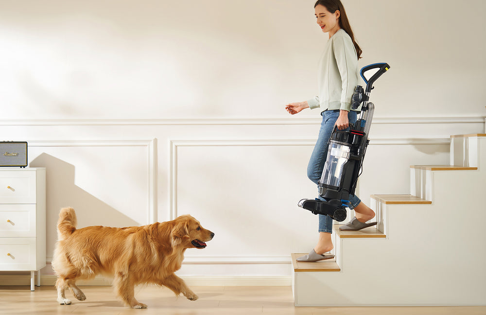 Lightweight & Portable