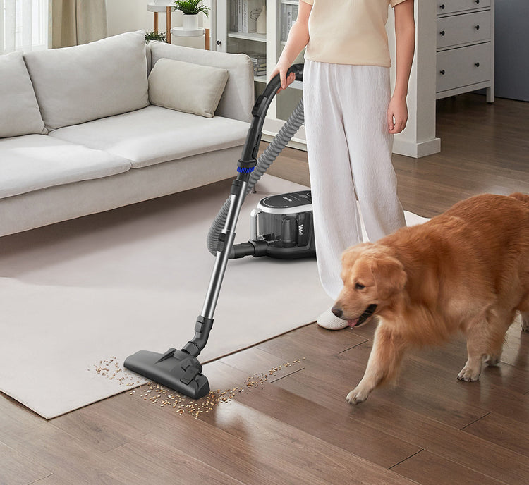 Multi-Surface Cleaning