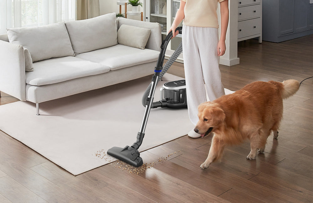 Multi-Surface Cleaning