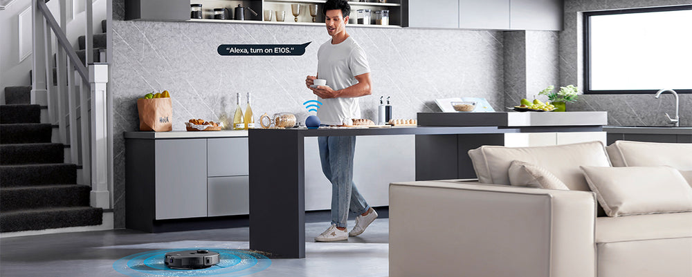 Voice Commands