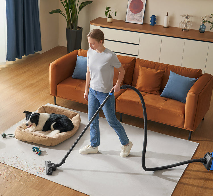 Whole-House Cleaning