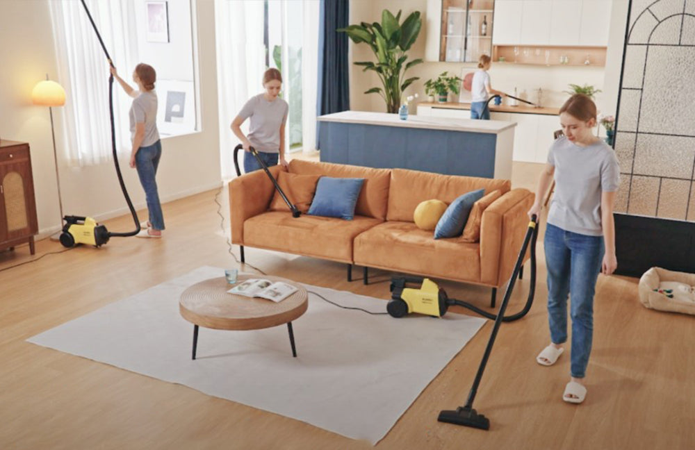 Whole Home Cleaning