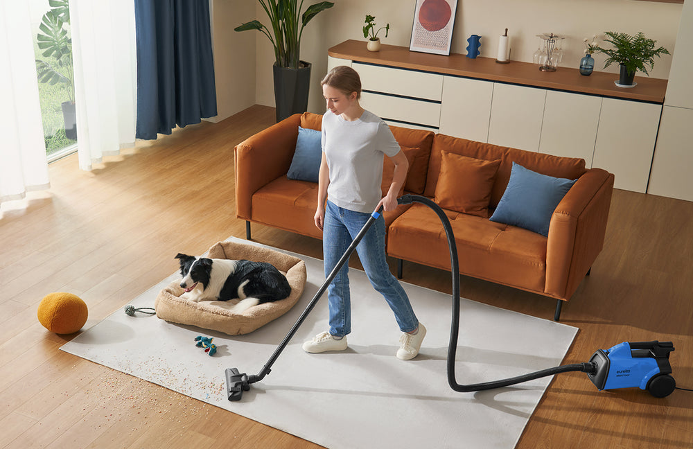 Whole-House Cleaning